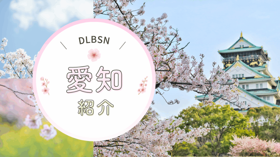 DLBSN愛知のバナー